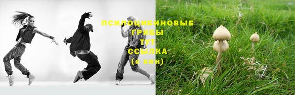 Альфа ПВП Магадан