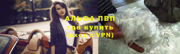 Альфа ПВП Магадан